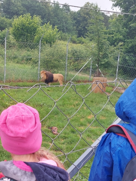 Výlet ZOO Hrádeček u Třeboně Výlet ZOO Hrádeček u Třeboně