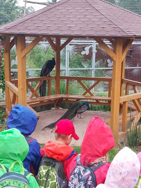 Výlet ZOO Hrádeček u Třeboně Výlet ZOO Hrádeček u Třeboně
