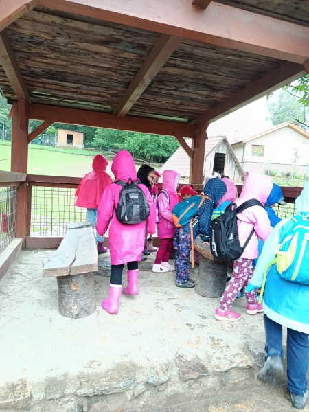 Výlet ZOO Hrádeček u Třeboně Výlet ZOO Hrádeček u Třeboně
