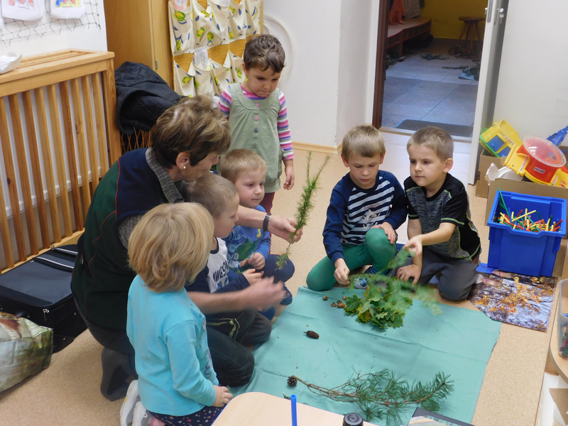 dscn7817-thmb.jpg dscn7817-thmb.jpg
